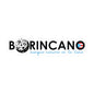 BORINCANO aunque naciera en la luna Waterproof Kiss-Cut Vinyl Decals